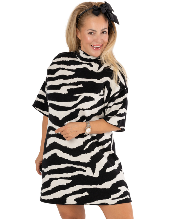 Trapeze Patterned Knit Dress TWIGGY