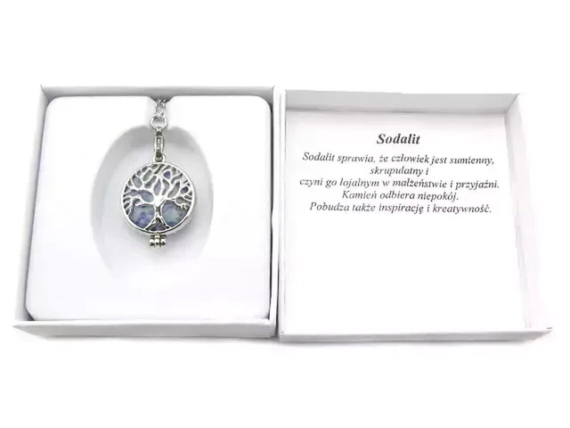 Sodalite surgical steel necklace Gift
