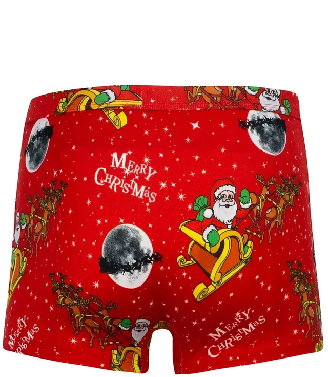 Men's Christmas boxers with Santa Claus