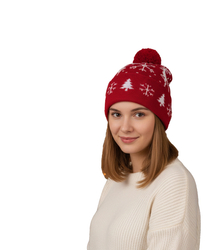 Winter Christmas hat with pom-pom - perfect for preze