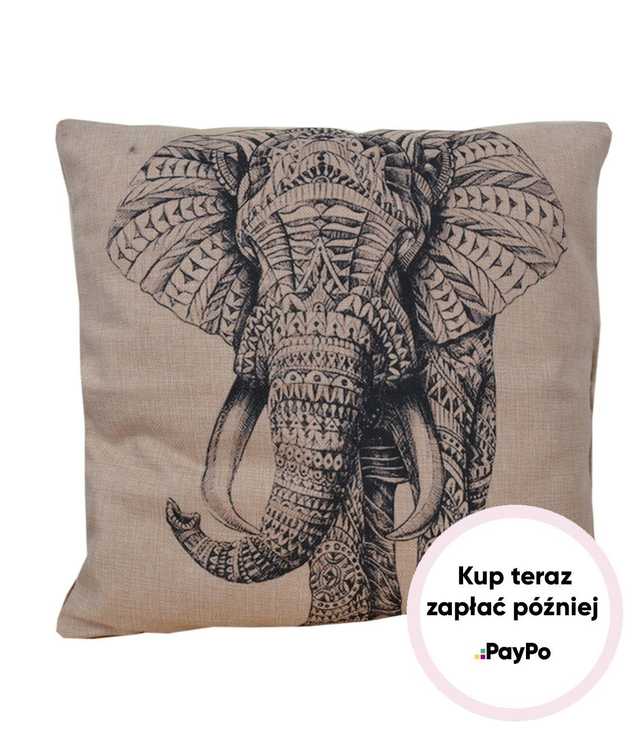Decorative pillow with NATURAL pillowcase