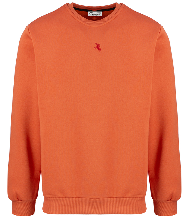 Men's warm sweatshirt with ozodbone embroidery