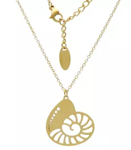 Shell
