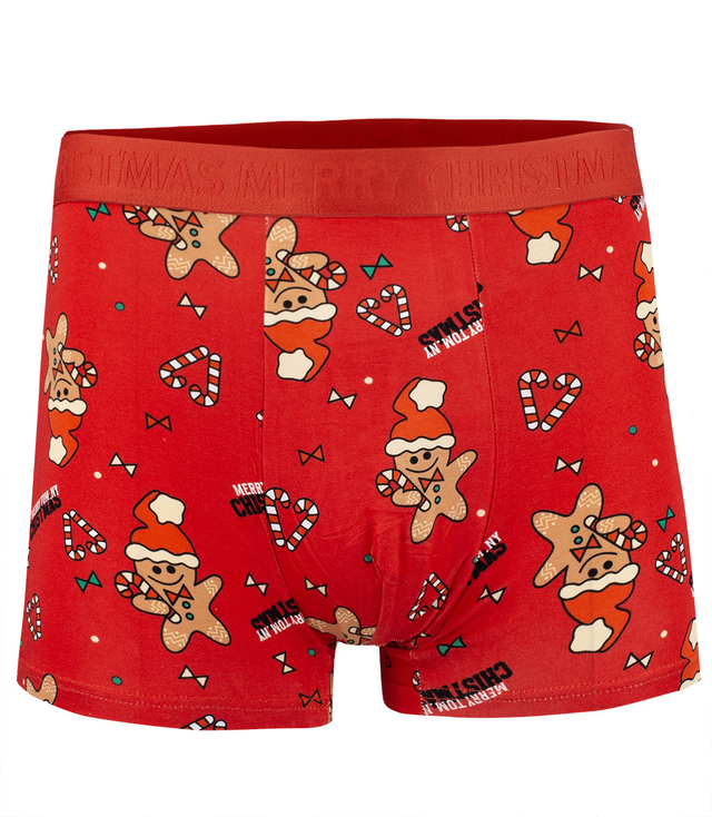 Christmas boxers with Santa Claus men's Christmas Gift