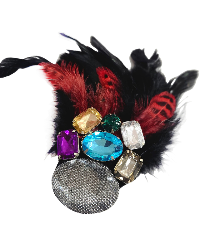 Beautiful ornate expressive brooch with feathers and zircons