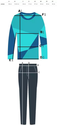 Sports tracksuit, set of pants, sweatshirt BASIC