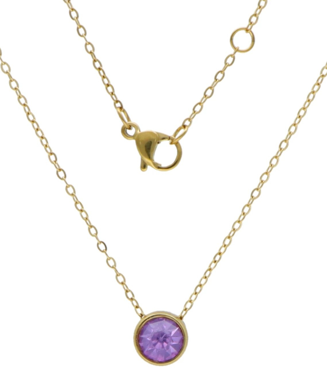 Necklace purple steel birthstone february