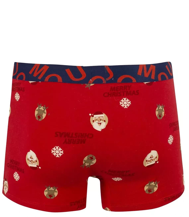 Men's gift Christmas boxer shorts