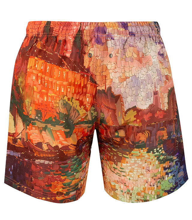 Swim shorts with artistic print