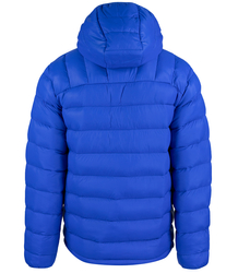 Men's winter quilted jacket with hood 
