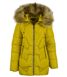 Women&#39;s fitted winter jacket with a hood