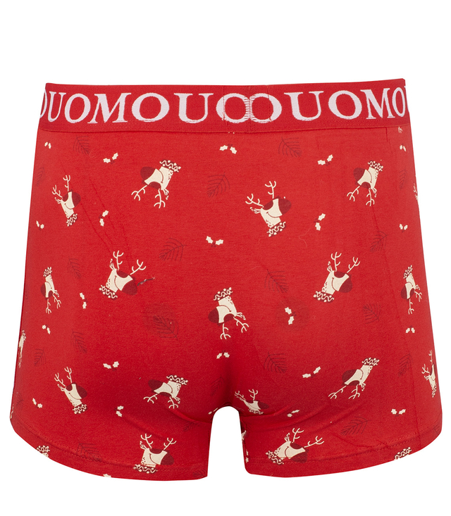 Christmas boxers with Santa Claus men's Christmas Gift