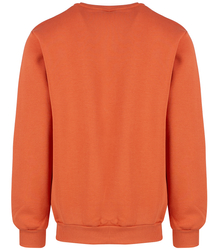 Men's warm sweatshirt with ozodbone embroidery