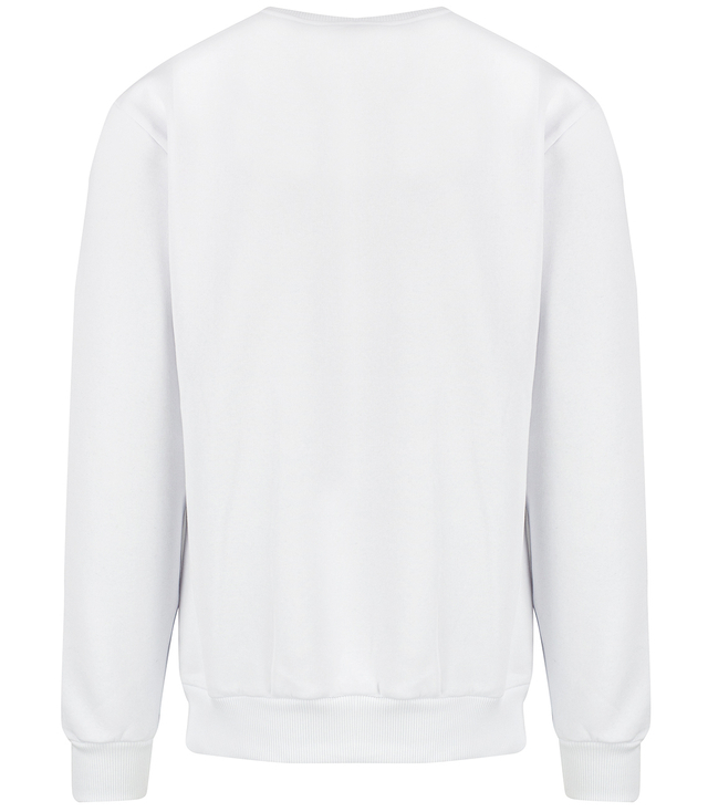 Men's warm sweatshirt with ozodbone embroidery