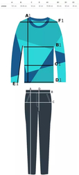 Tracksuit pants sweatshirt hood velor plus size