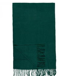 Elegant scarf with tassels in one color
