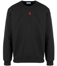 Men's warm sweatshirt with ozodbone embroidery