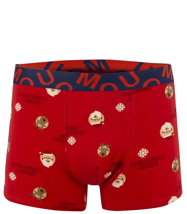 Men's gift Christmas boxer shorts