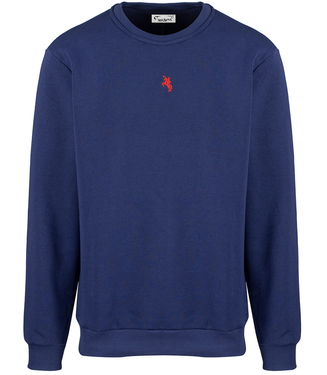 Men's warm sweatshirt with ozodbone embroidery