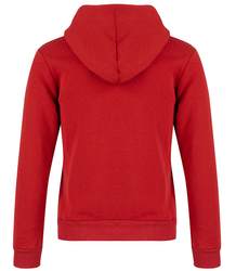 Men's warm zip-up sweatshirt with a contrasting hood