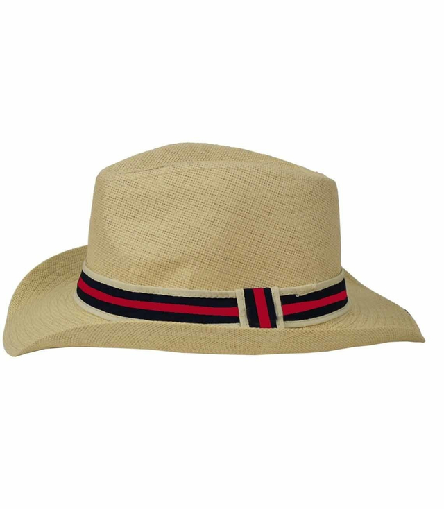 Stylish men's country straw hat