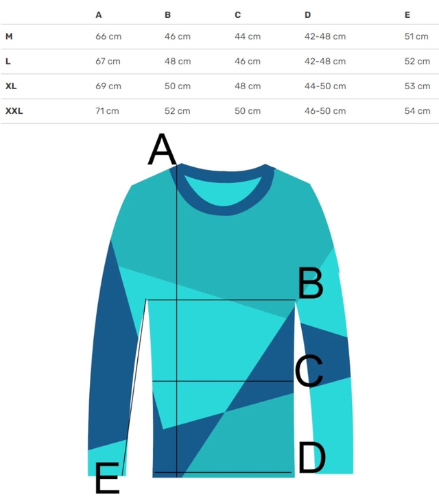 Men's long-sleeved sweatshirt with a print