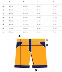 Women's shorts in fabric