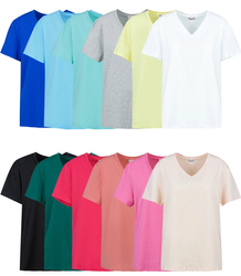 Basic V-neck T-shirt blouse ALDONA