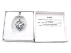 Sodalite surgical steel necklace Gift