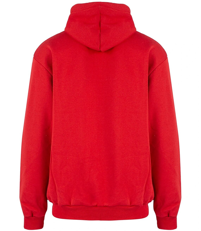 Men's warm, thick sweatshirt with a hood and a print