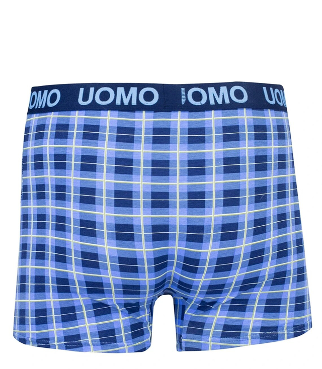 Plus Size men's checkered boxer shorts