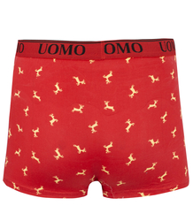 Christmas Boxers Christmas theme men's Christmas Gift