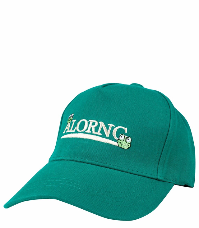 Children's baseball cap decorated with embroidery with frogs