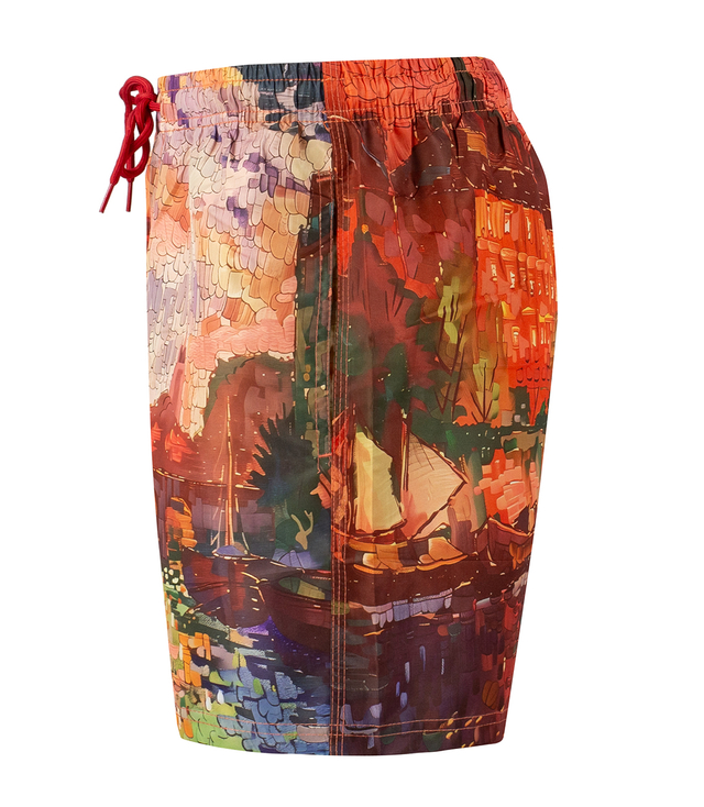 Swim shorts with artistic print