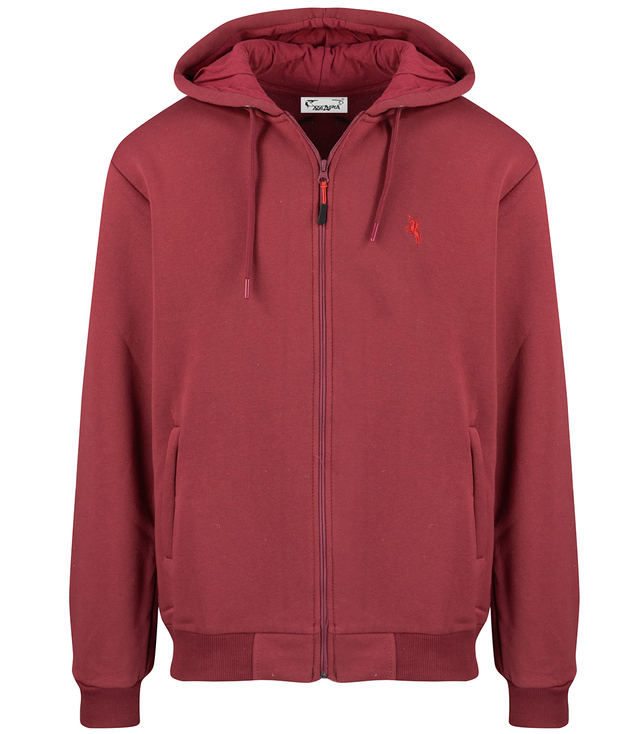 Men's warm unbuttoned hoodie single color with embroidery