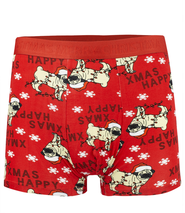 Christmas boxers with Santa Claus men's Christmas Gift