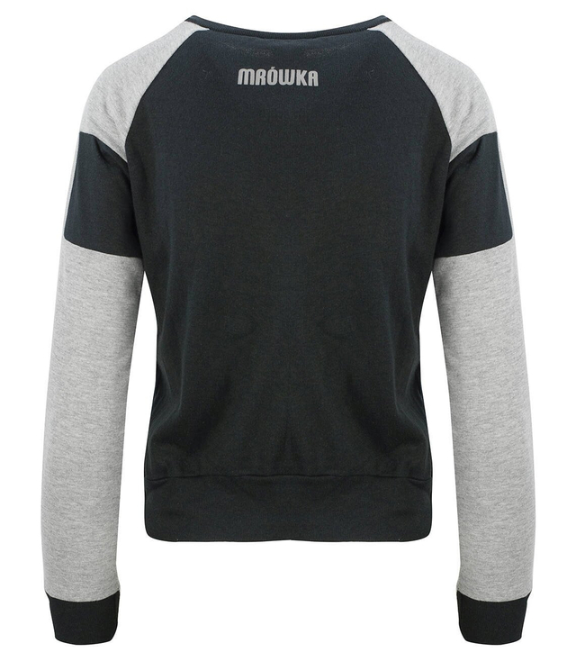 oldschool short sweatshirt with colorful sleeves