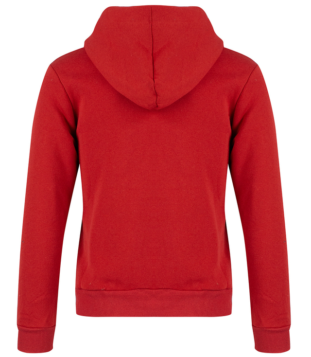 Men's warm zip-up sweatshirt with a contrasting hood