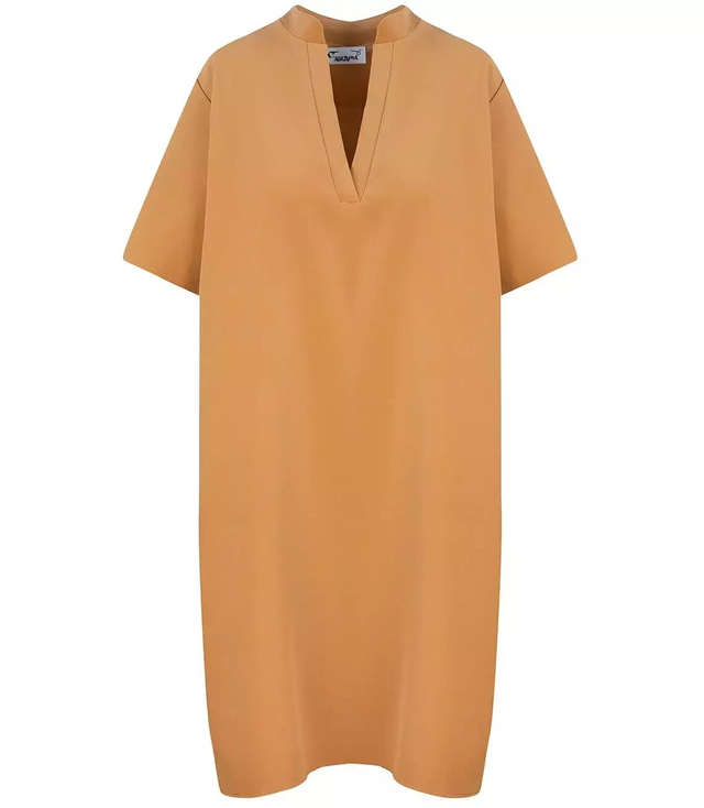 A simple elegant shirt dress for occasions