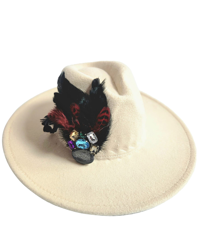 Elegant women's hat with large brooch with feathers and colored zircons