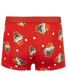 Christmas boxers with Santa Claus men's Christmas Gift