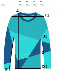Sports tracksuit, set of pants, sweatshirt BASIC