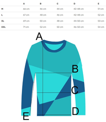 Men's long-sleeved sweatshirt with a print