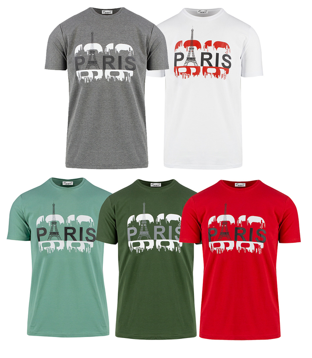 Men's short-sleeved T-shirt with a print on the front PARIS