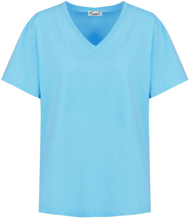 Basic V-neck T-shirt blouse ALDONA