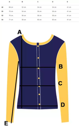 BASIC long-sleeved blouse