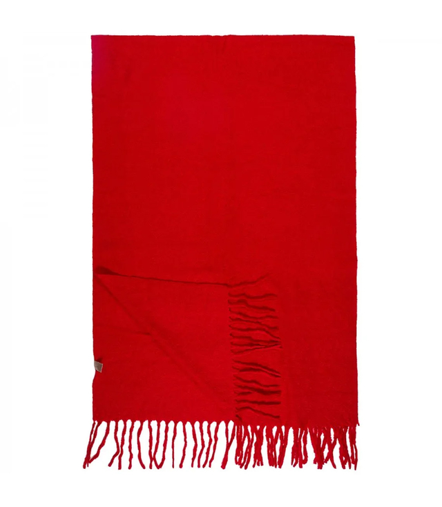 Elegant scarf with tassels in one color