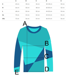 Men's long-sleeve printed sweatshirt