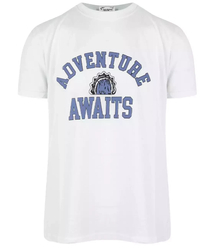 Męski t-shirt koszulka nadruk krótki rękaw