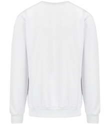 Men's warm sweatshirt with ozodbone embroidery